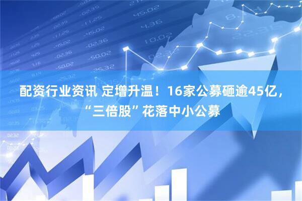 配资行业资讯 定增升温！16家公募砸逾45亿，“三倍股”花落中小公募