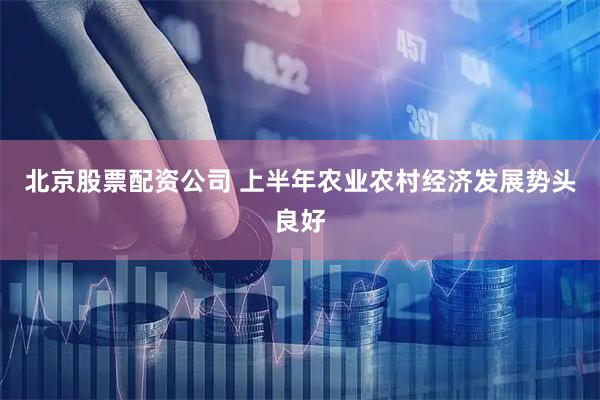 北京股票配资公司 上半年农业农村经济发展势头良好