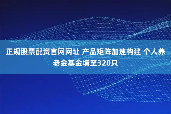 正规股票配资官网网址 产品矩阵加速构建 个人养老金基金增至320只