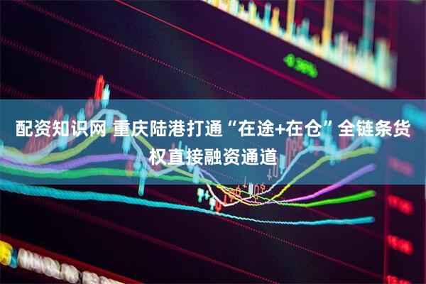 配资知识网 重庆陆港打通“在途+在仓”全链条货权直接融资通道